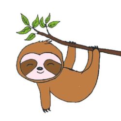 Cute Sloth Drawing