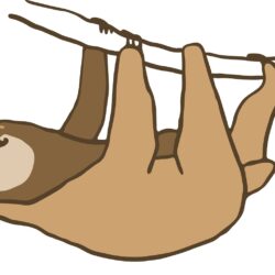 Cute Sloth Drawing Creative Style