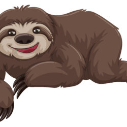 Cute Sloth Drawing Modern Sketch