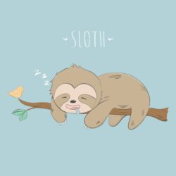 Cute Sloth Drawing Photo