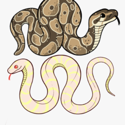 Cute Snake Drawing Amazing Sketch