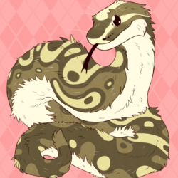 Cute Snake Drawing Picture