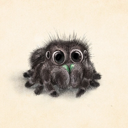 Cute Spider Drawing Art
