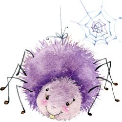 Cute Spider Drawing Artistic Sketching