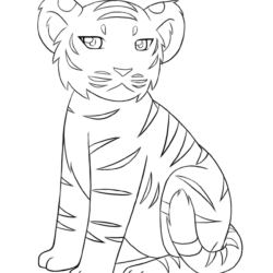 Cute Tiger Drawing Fine Art