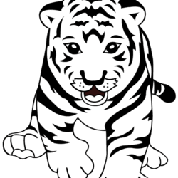 Cute Tiger Drawing Modern Sketch