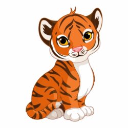 Cute Tiger Drawing Sketch