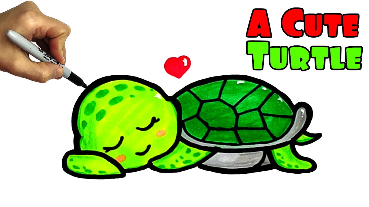 Cute Turtle Drawing Art
