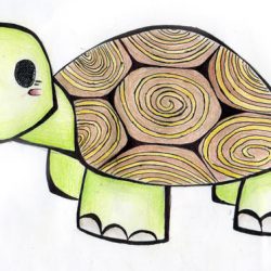 Cute Turtle Drawing Artistic Sketching