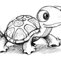 Cute Turtle Drawing Hand drawn Sketch