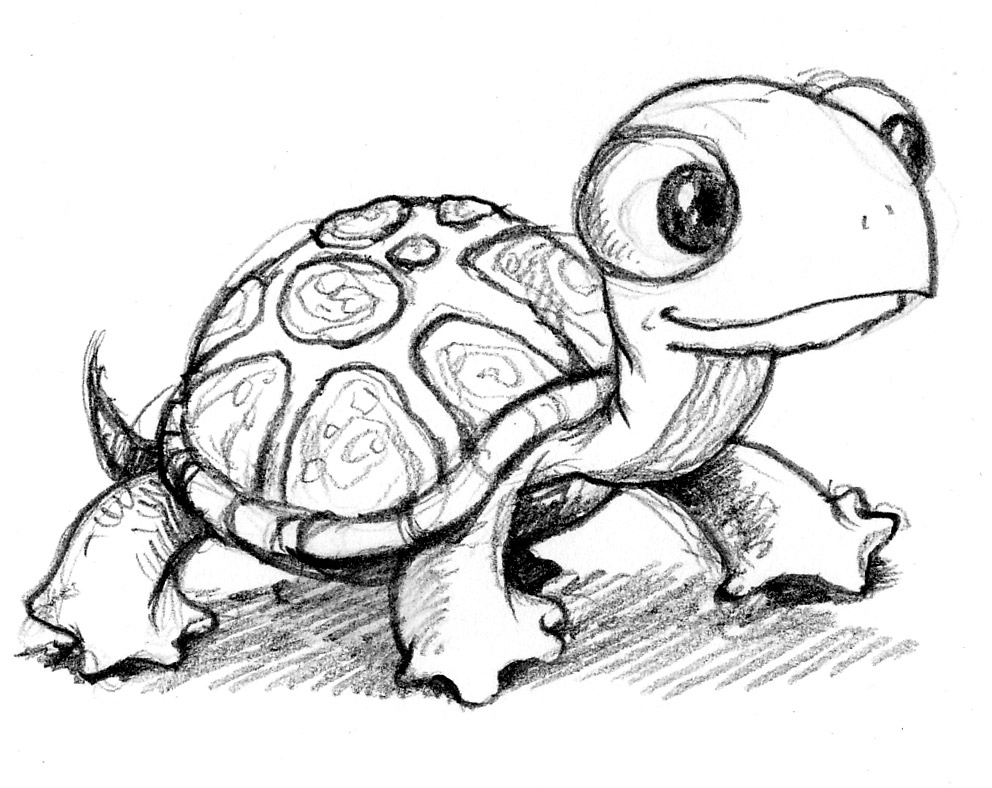 Cute Turtle Drawing Hand drawn Sketch