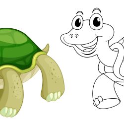 Cute Turtle Drawing Realistic Sketch