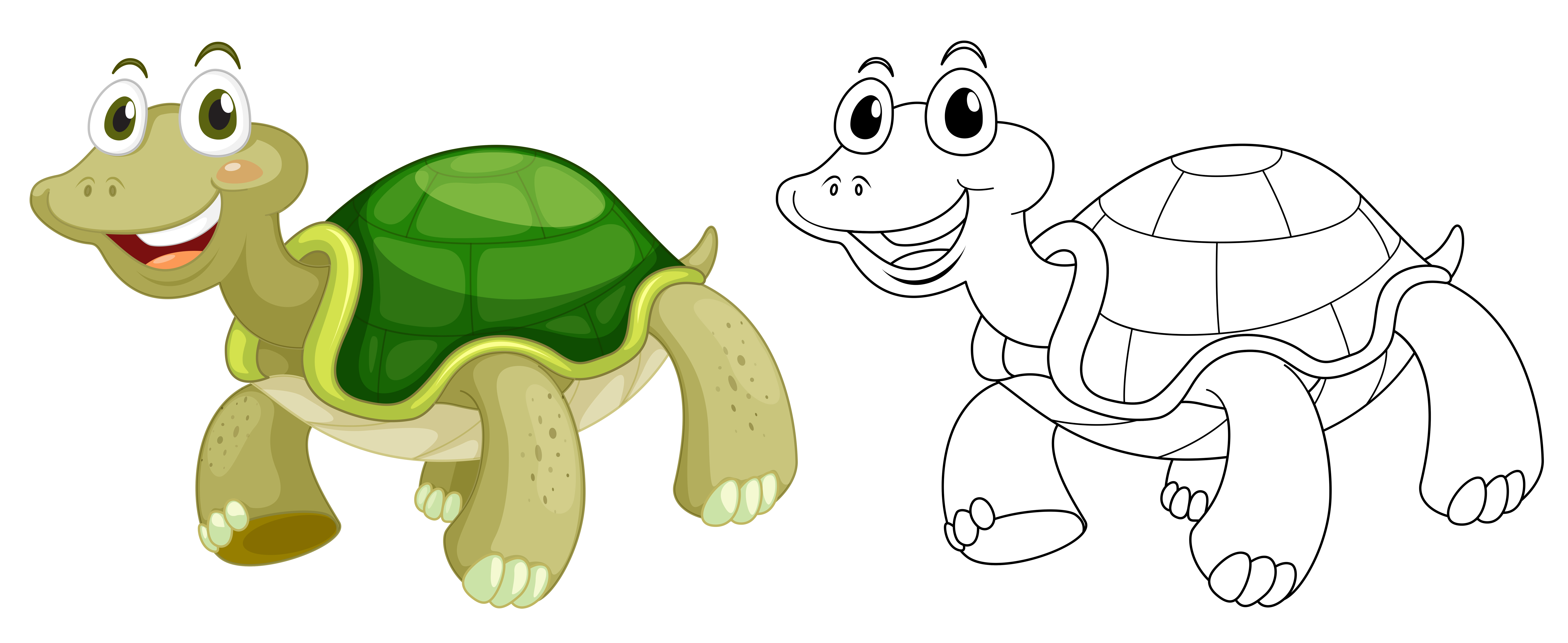 Cute Turtle Drawing Realistic Sketch