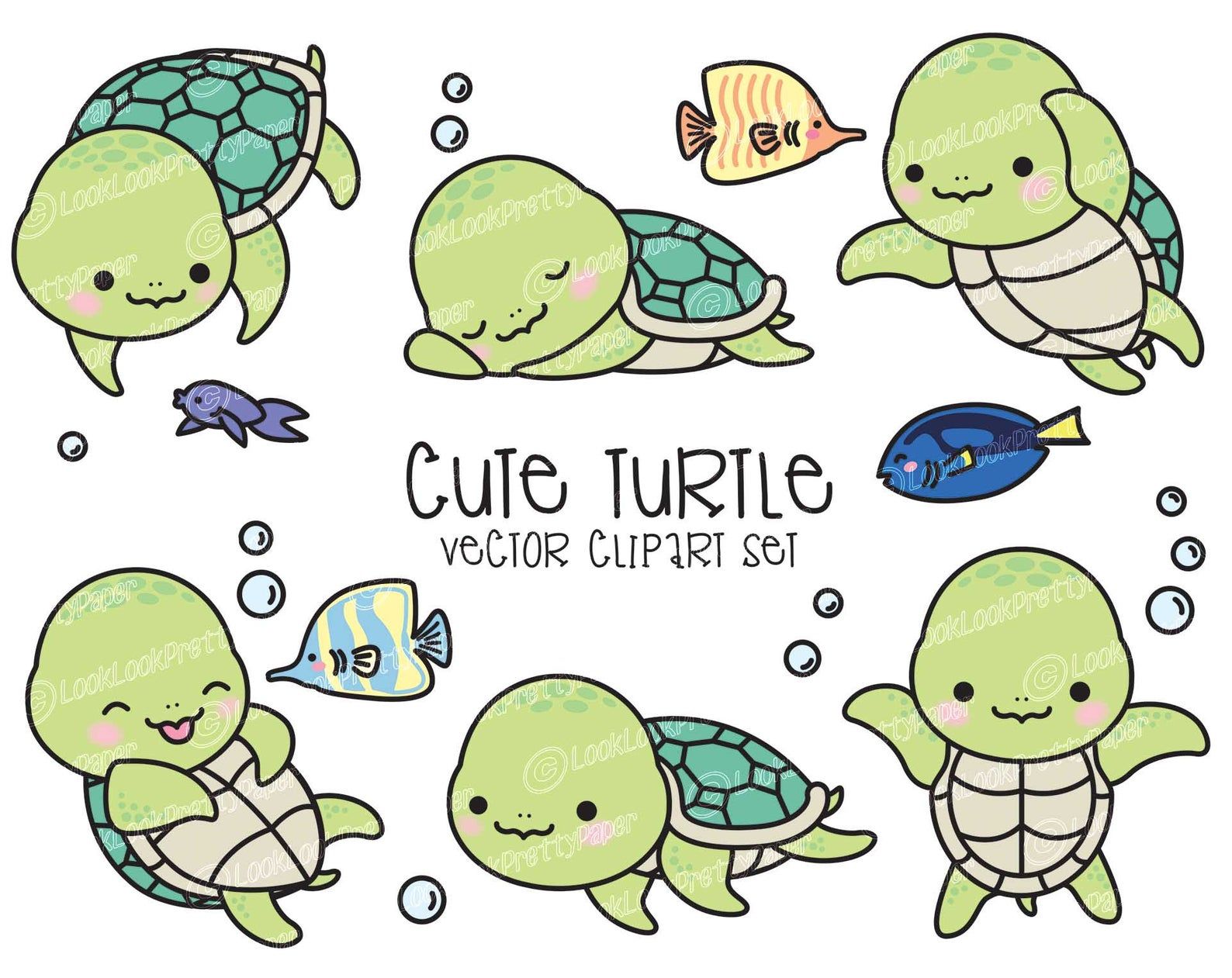 Cute Turtle Drawing