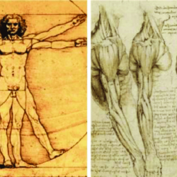 Da Vinci Man Drawing Creative Style