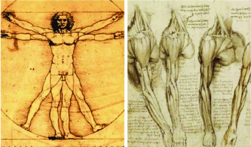 Da Vinci Man Drawing Creative Style