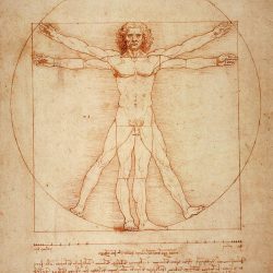 Da Vinci Man Drawing Hand drawn