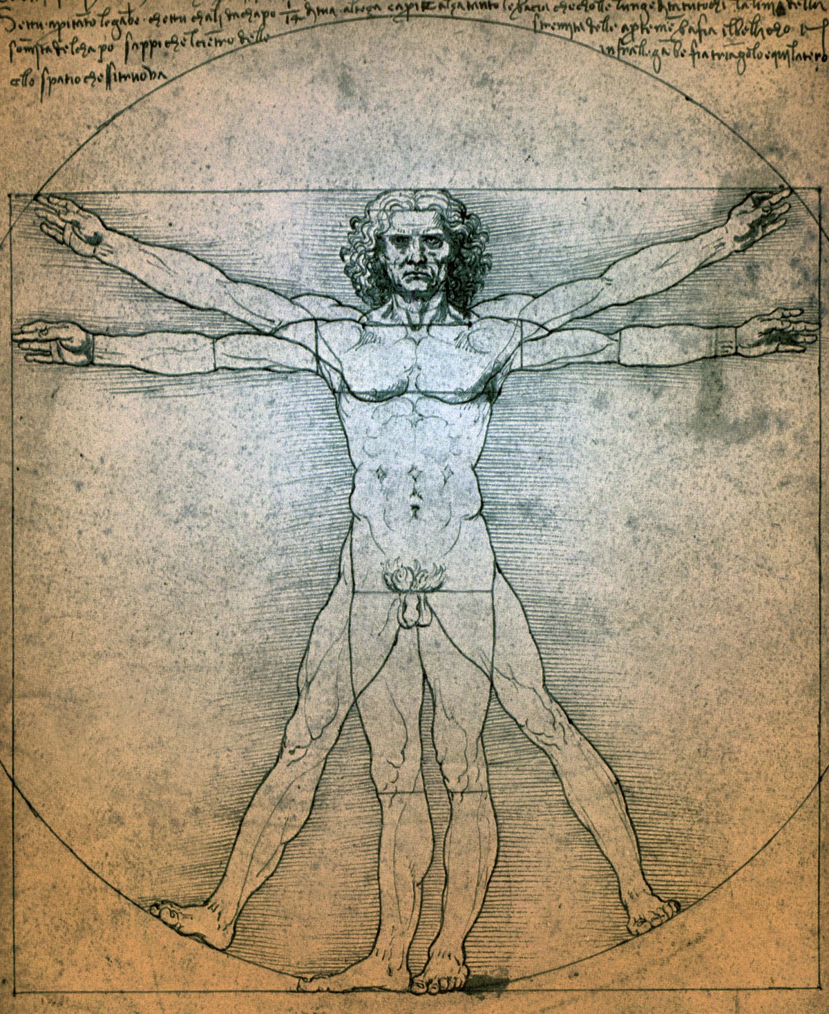 Da Vinci Man Drawing Hand drawn Sketch