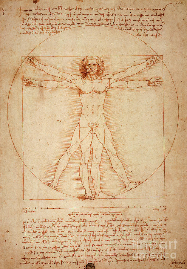 Da Vinci Man Drawing Hand drawn