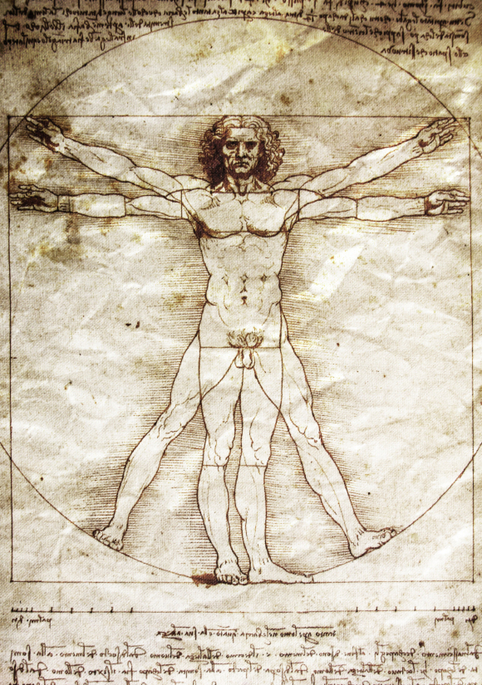 Da Vinci Man Drawing Intricate Artwork