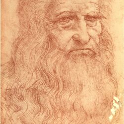 Da Vinci Man Drawing Modern Sketch