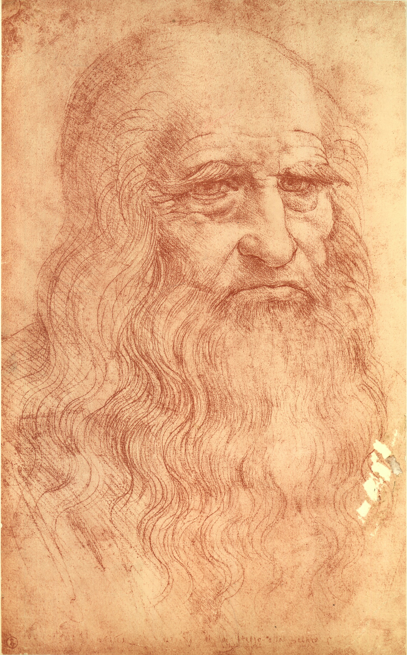 Da Vinci Man Drawing Modern Sketch