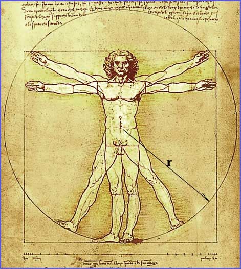 Da Vinci Man Drawing Realistic Sketch