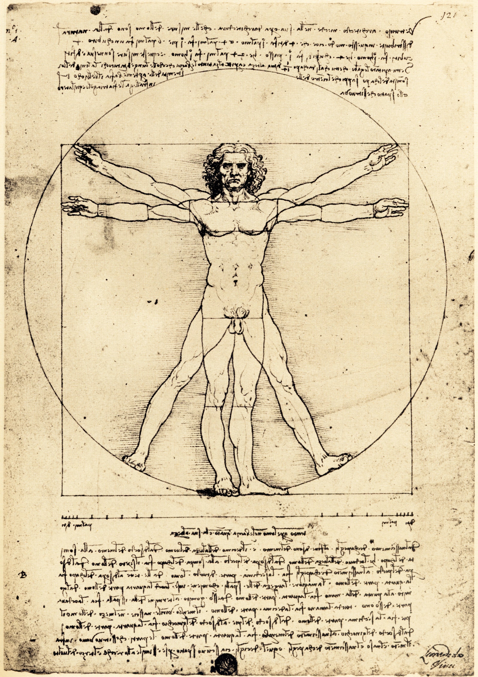 Da Vinci Man Drawing