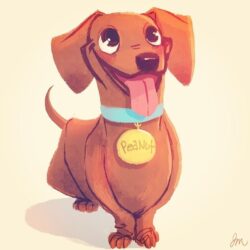 Dachshund Drawing Artistic Sketching