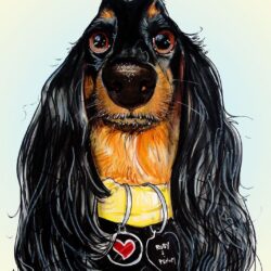 Dachshund Drawing Hand Drawn