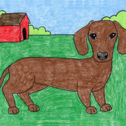 Dachshund Drawing Modern Sketch