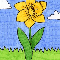 Daffodil Drawing Sketch
