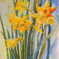 Daffodils Drawing Detailed Sketch