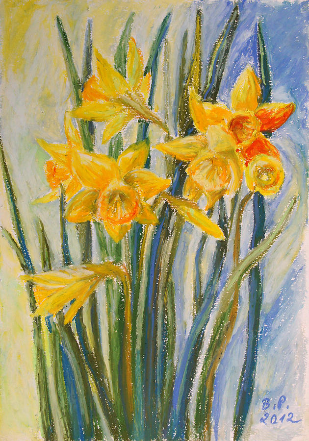 Daffodils Drawing Detailed Sketch