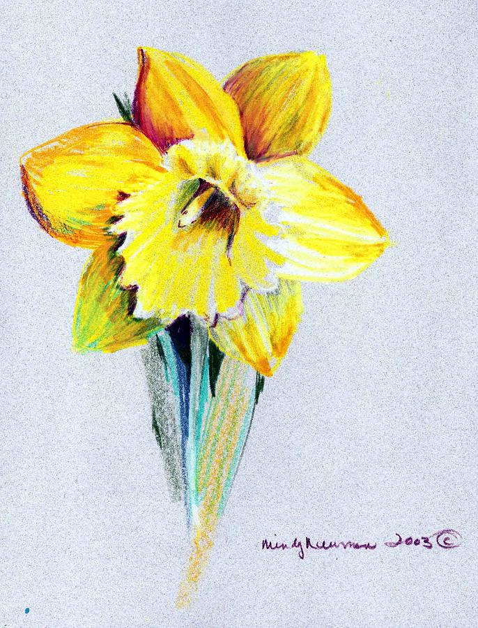 Daffodils Drawing Hand drawn Sketch