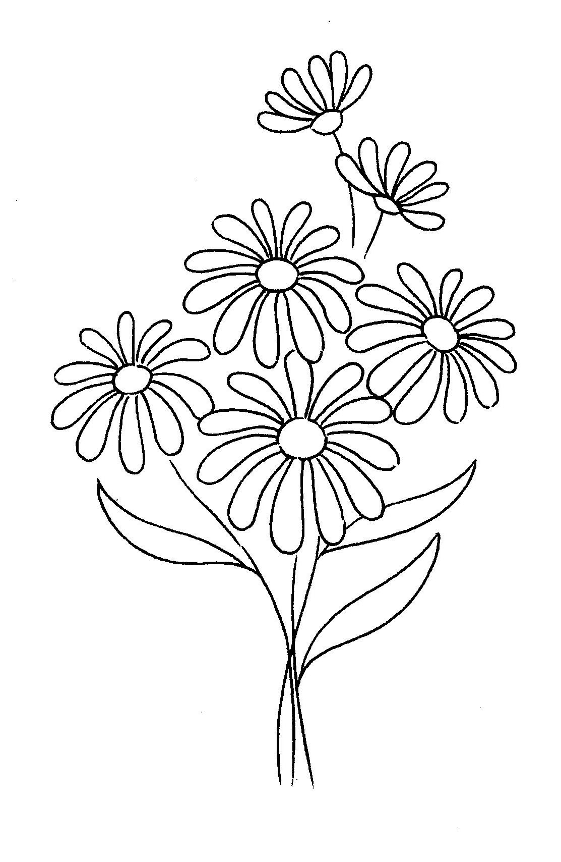 Daisy Flower Drawing Art