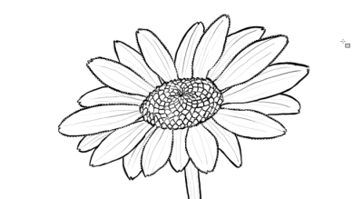 Daisy, Sunshine, Flower, Beauty, Nature Drawing