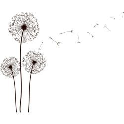 Dandelion Drawing Detailed Sketch