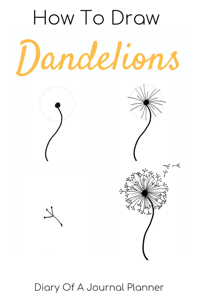 Dandelion Drawing Fine Art