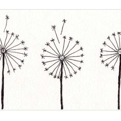 Dandelion Drawing Hand drawn