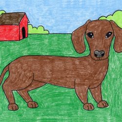 Daschund Drawing Hand drawn Sketch