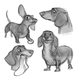 Daschund Drawing Stunning Sketch