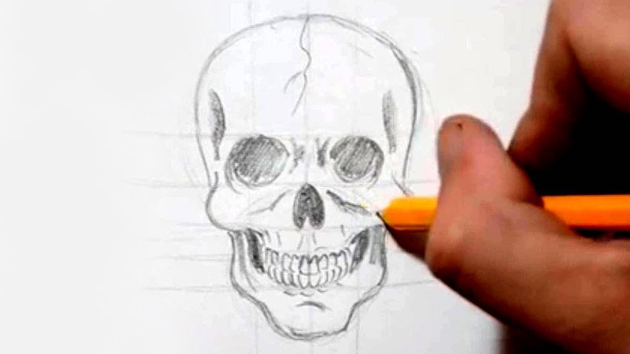 David Drawing Hand drawn