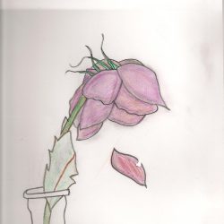 Dead Flower Drawing Art