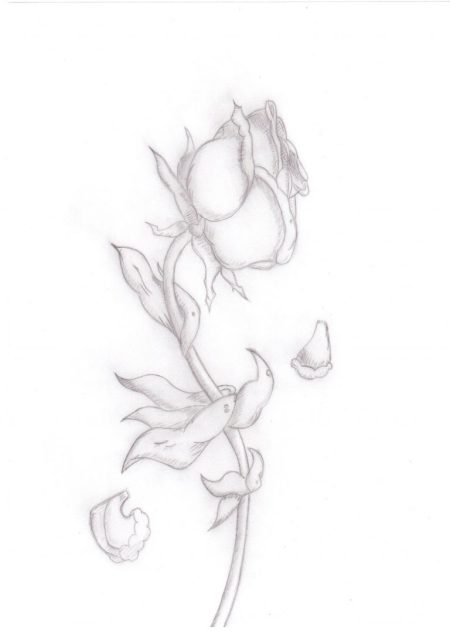 How to Draw Dead Flower Drawing Step by Step Guide - Drawing All