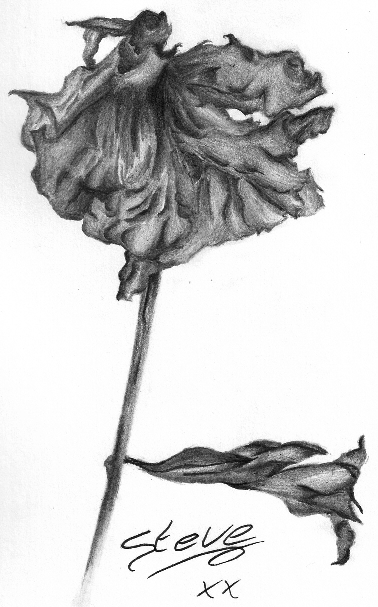 Dead Flower Drawing Realistic Sketch
