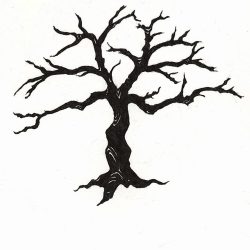 Dead Tree Drawing Hand drawn