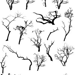 Dead Tree Drawing Hand drawn Sketch