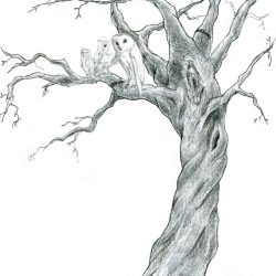 Dead Tree Drawing Stunning Sketch