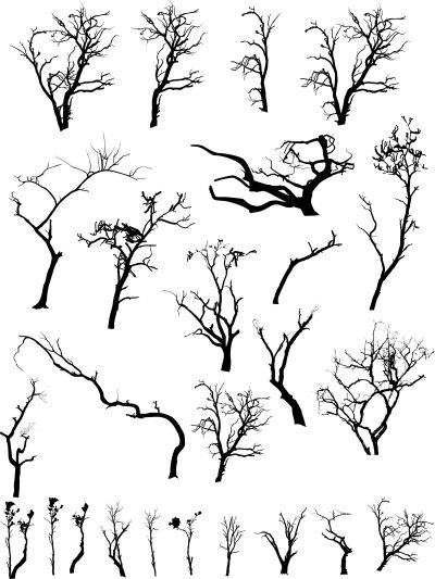 Dead Tree, Habitat, Nature, Decay, Ecosystem Drawing